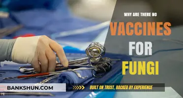 Unveiling the Complexities: Why Fungi Remain Vaccine-Free
