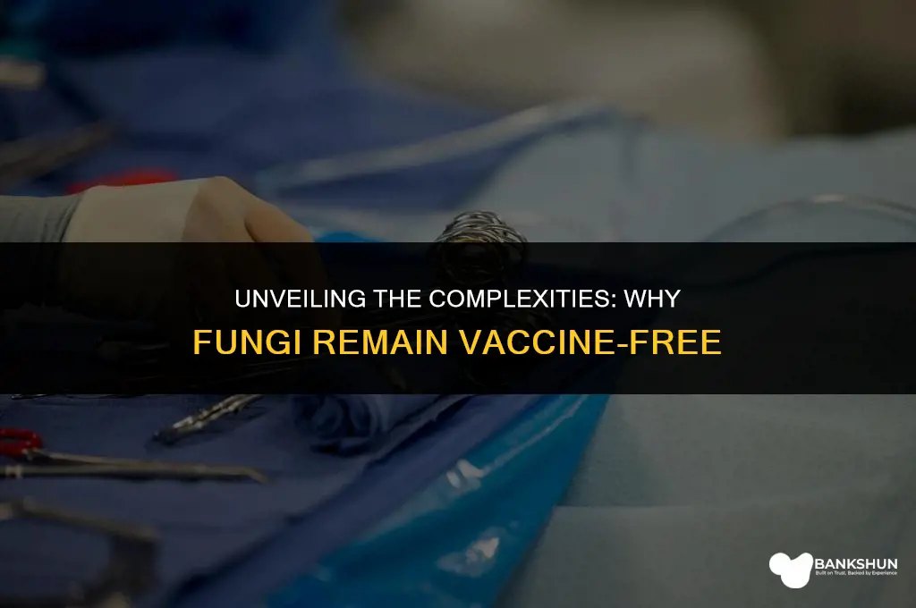why are there no vaccines for fungi