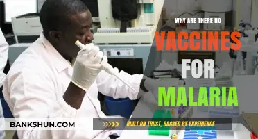 Decoding the Complex Quest for a Malaria Vaccine
