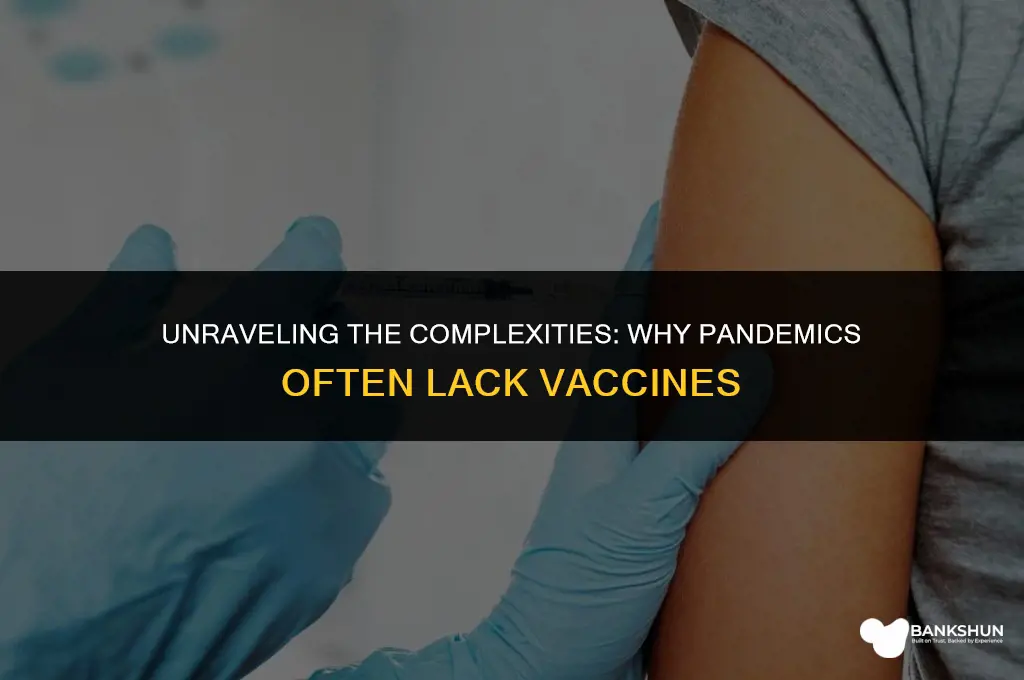 why are there no vaccines for pandemics