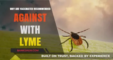 Why Vaccinated Individuals Should Still Take Precautions Against Lyme Disease