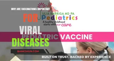 Protecting Public Health: The Vital Role of Vaccinations Against Viral Diseases
