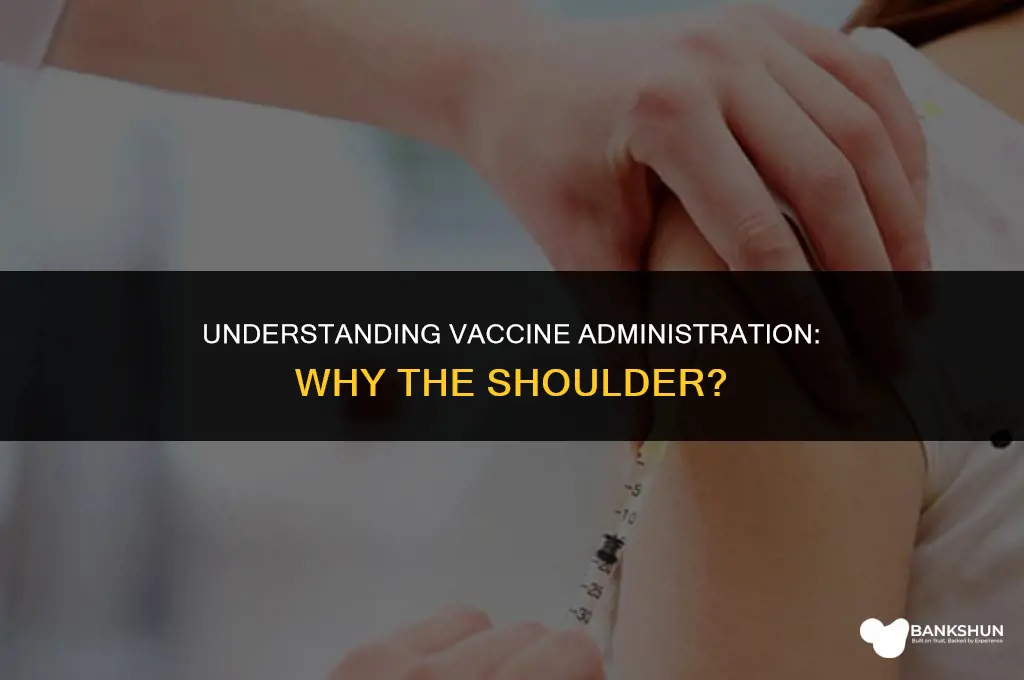 why are vaccines administered in the shoulder