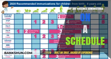 Understanding Vaccine Schedules: A Guide to Immunization Timing