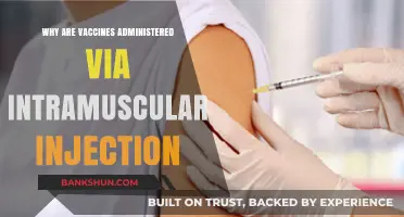 Understanding Vaccine Administration: The Science Behind Intramuscular Injections