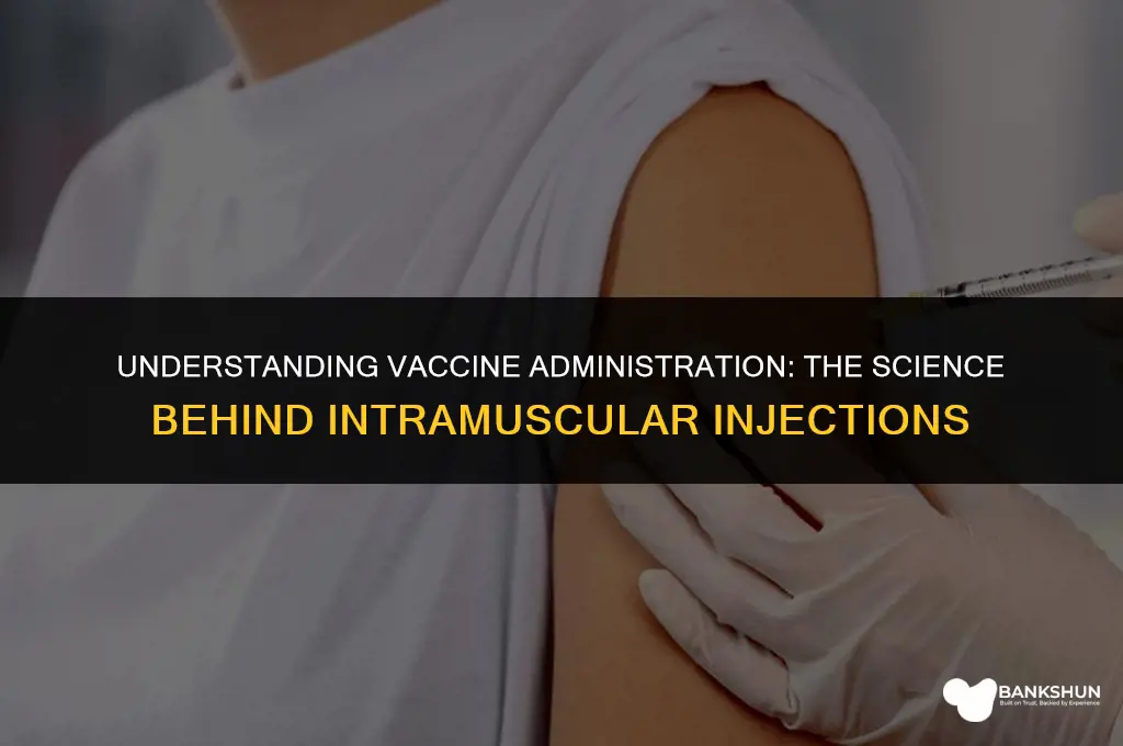 why are vaccines administered via intramuscular injection