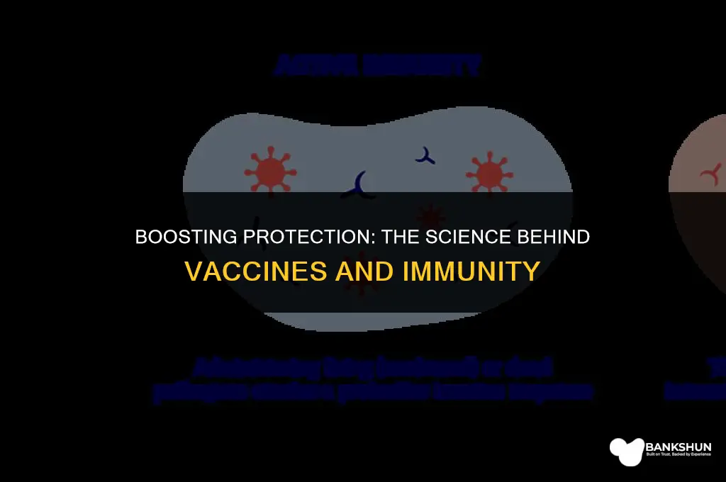 why are vaccines better than natural immunity