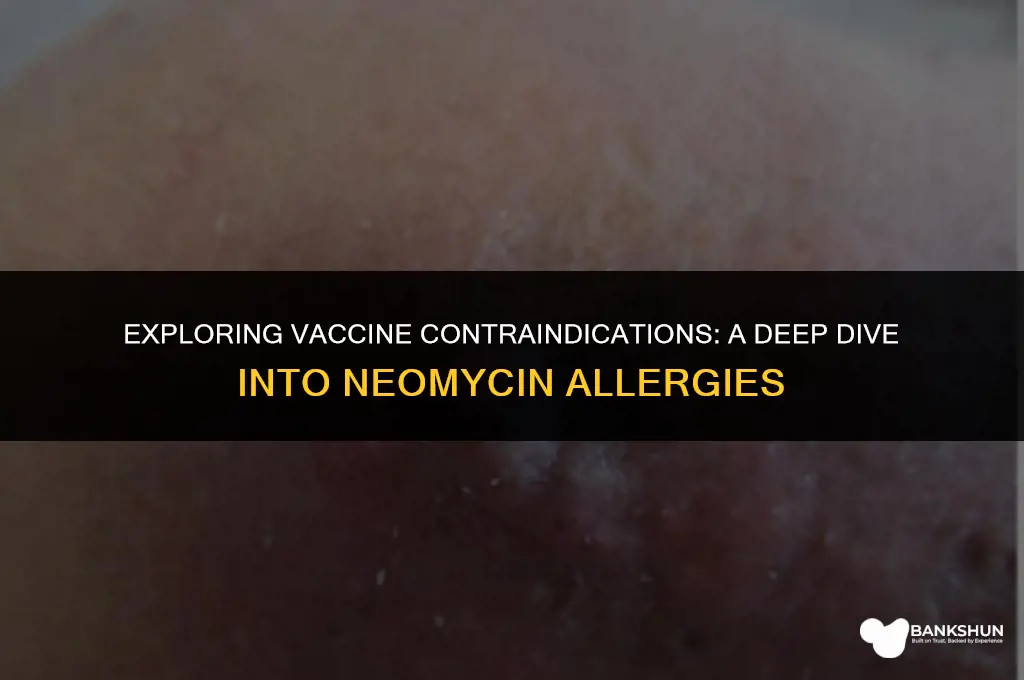 why are vaccines contraindicated with neomycin allergy