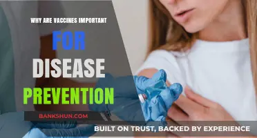 Safeguarding Health: The Indispensable Role of Vaccines in Disease Prevention