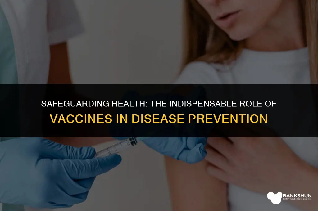 why are vaccines important for disease prevention