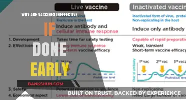 Early Vaccination: Why Timing Matters in Building Immunity
