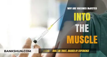 Understanding Vaccine Administration: Why Muscles are the Preferred Site