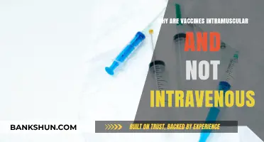 Decoding Vaccine Delivery: The Science Behind Intramuscular vs. Intravenous Shots