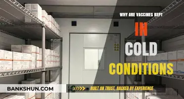 Chilling Facts: The Science Behind Cold Vaccine Storage