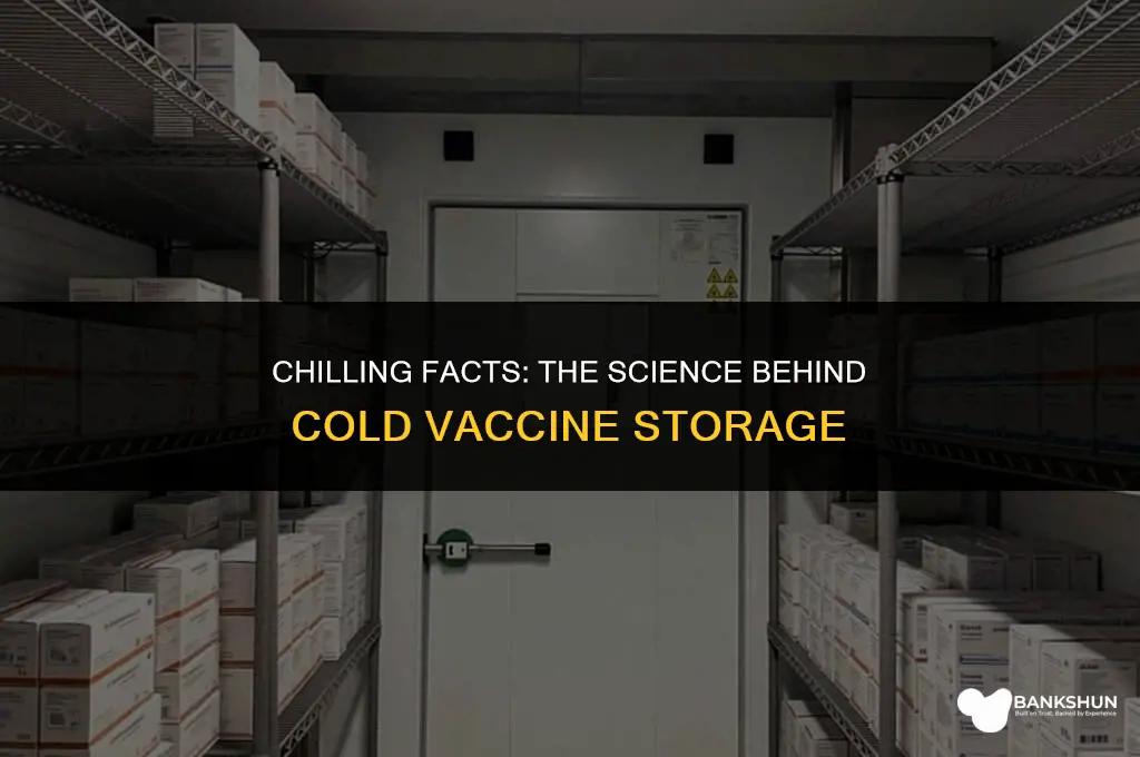 why are vaccines kept in cold conditions