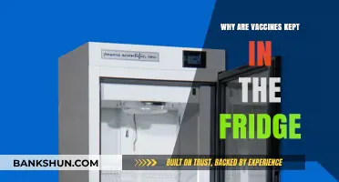 Chilling Facts: The Science Behind Refrigerating Vaccines