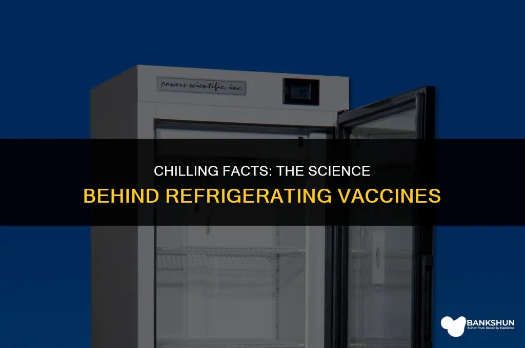 why are vaccines kept in the fridge