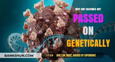 Unraveling the Myth: Vaccines and Genetic Inheritance