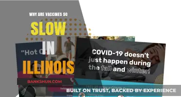 Illinois Vaccine Rollout: Understanding the Delays and Challenges