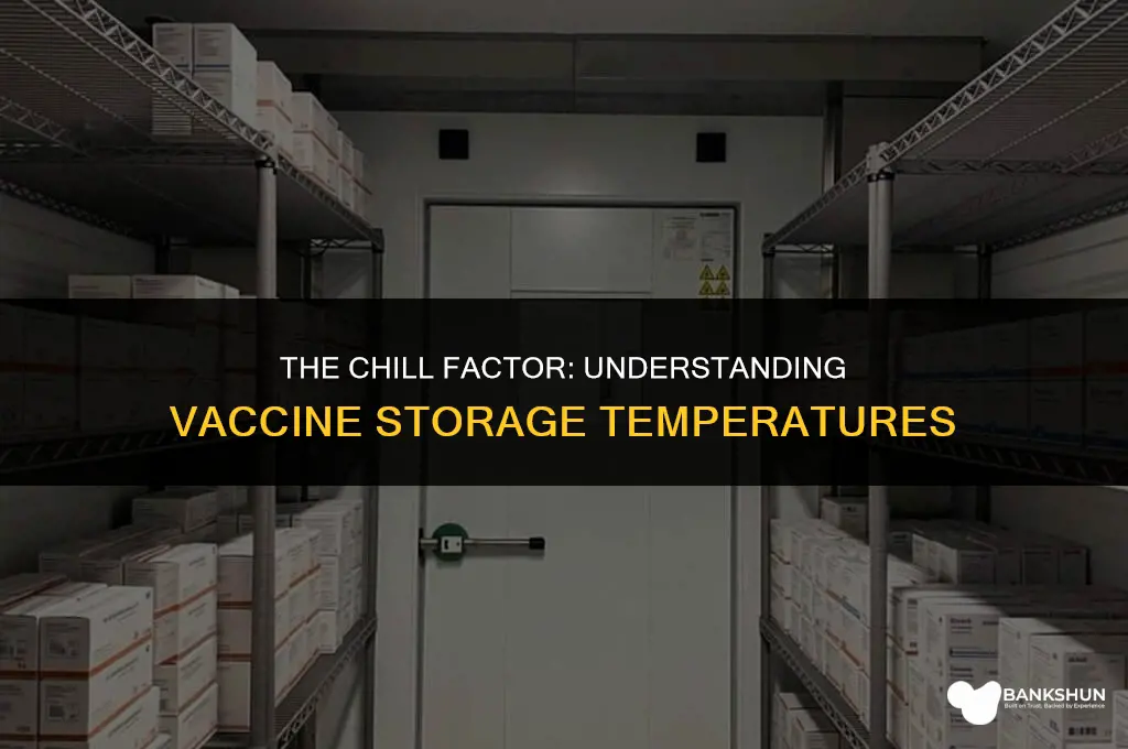 why are vaccines stored at low temperatures