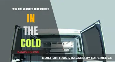 Chilling Facts: The Cold Journey of Vaccines to Save Lives