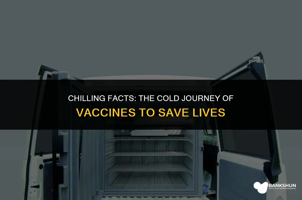 why are vaccines transported in the cold