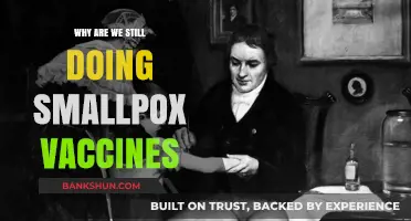 Eradicating Smallpox: The Enduring Legacy of Vaccination Efforts