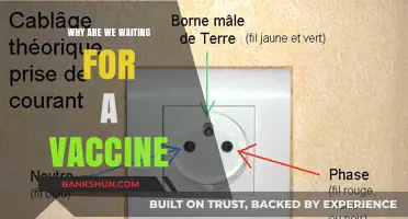 The Elusive Vaccine: Understanding the Delays in Medical Breakthroughs