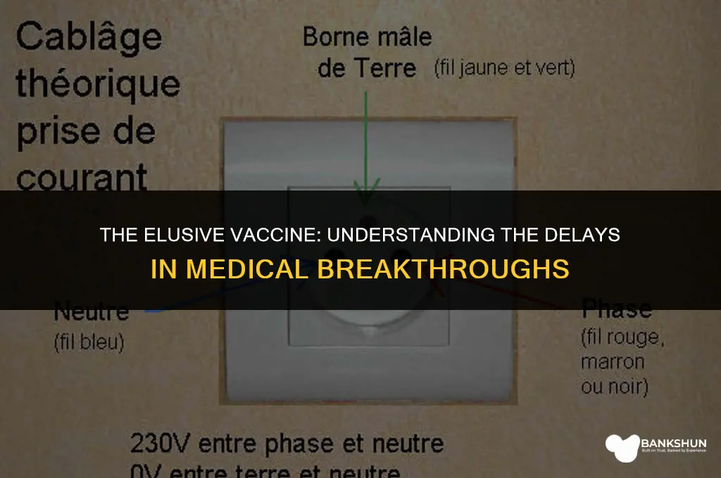 why are we waiting for a vaccine