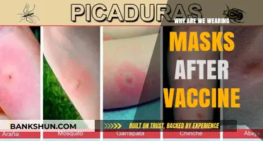 Masks Post-Vaccine: Unraveling the Science Behind Continued Precautions