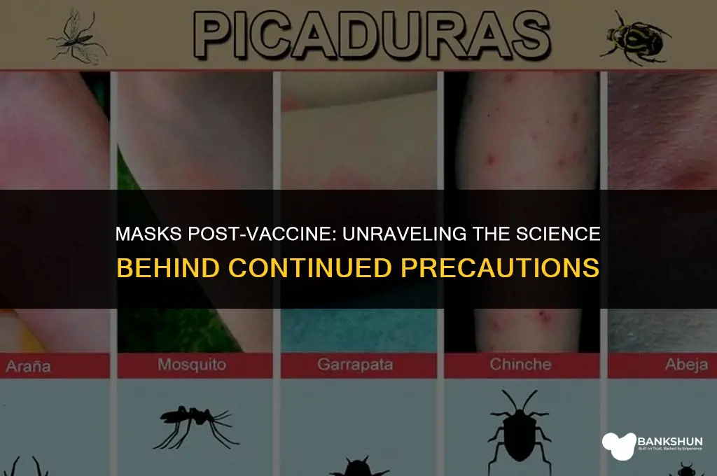 why are we wearing masks after vaccine