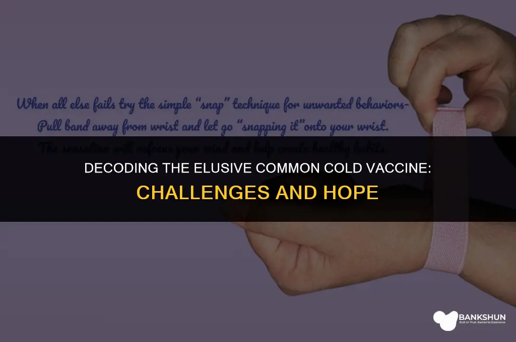 why arnt there vaccinations for common cold