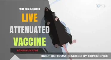Understanding BCG: The Science Behind Live Attenuated Vaccines