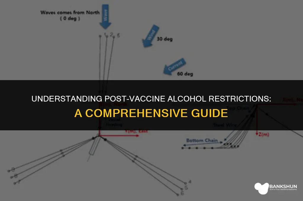 why cant you drink alcohol after vaccine