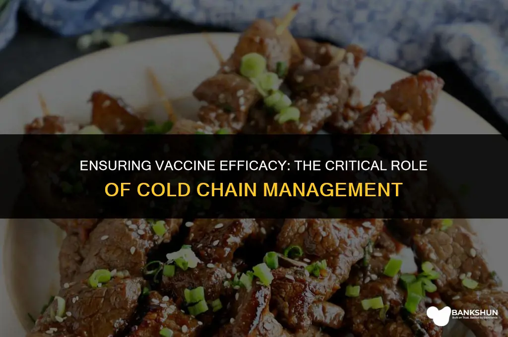 why cold chain is necessary for vaccination