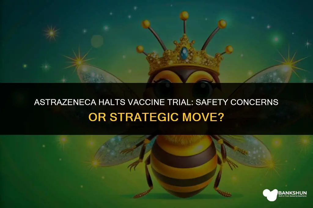 why did astrazeneca stop the vaccine trial