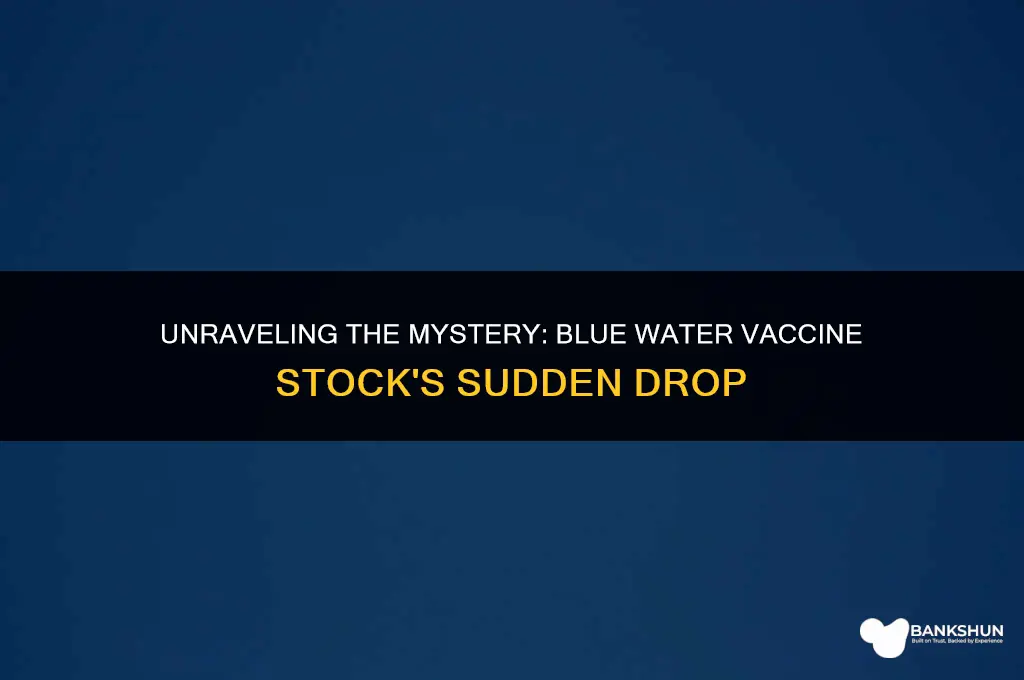 why did blue water vaccine stock drop