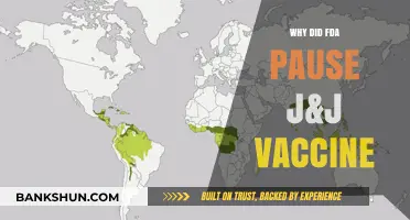 FDA Halts J&J Vaccine: Understanding the Pause and Its Implications