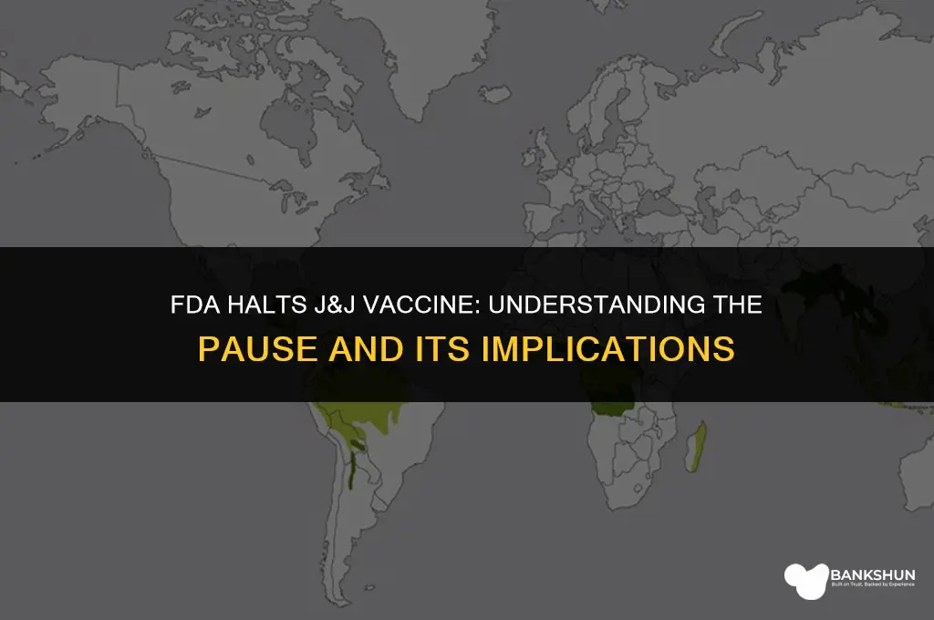 why did fda pause j&j vaccine