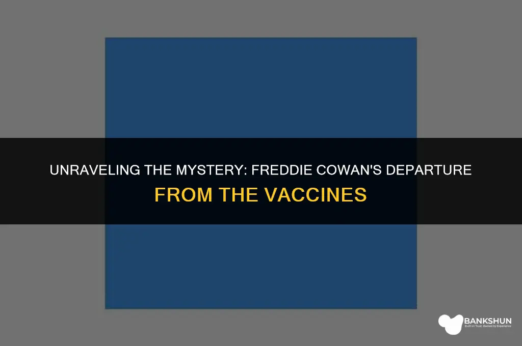 why did freddie cowan leave the vaccines