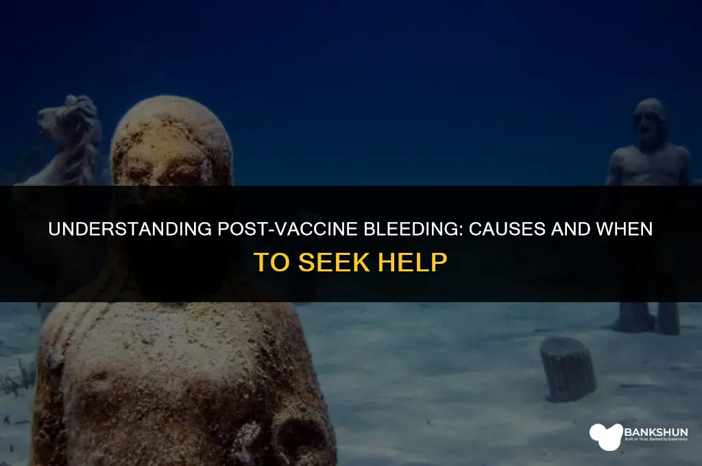 why did my arm bleed after vaccine