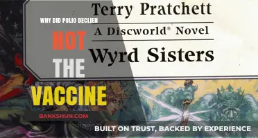 Unraveling the Mystery: Polio's Decline Beyond Vaccination