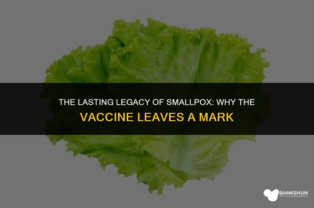 why did smallpox vaccine leave a mark
