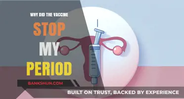 Understanding the Impact of Vaccines on Menstrual Cycles