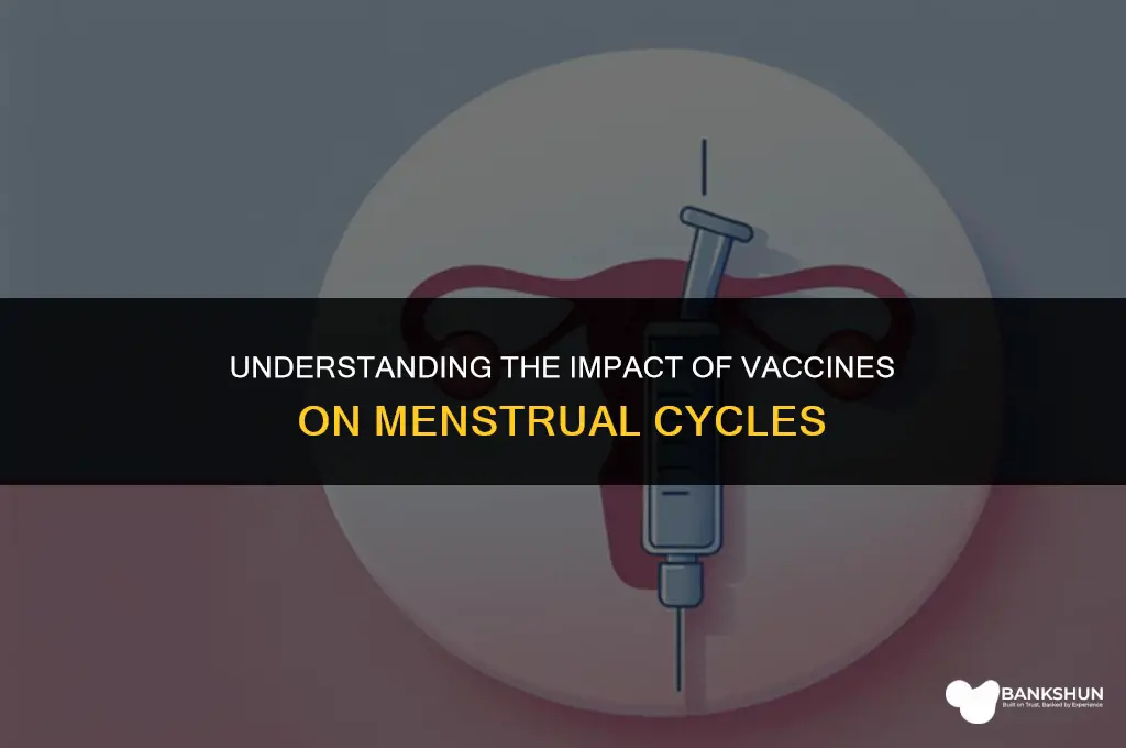 why did the vaccine stop my period