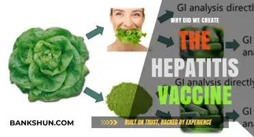 Revolutionizing Public Health: The Birth of the Hepatitis Vaccine