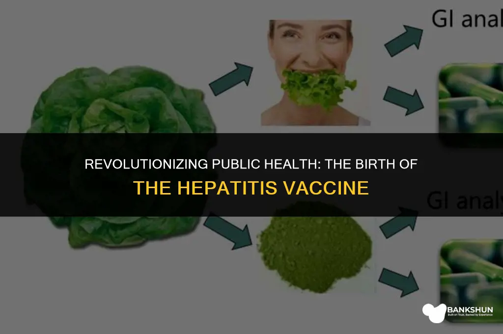 why did we create the hepatitis vaccine
