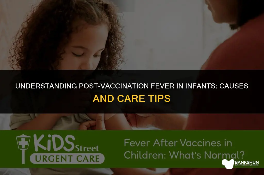why do babies have fever after vaccination