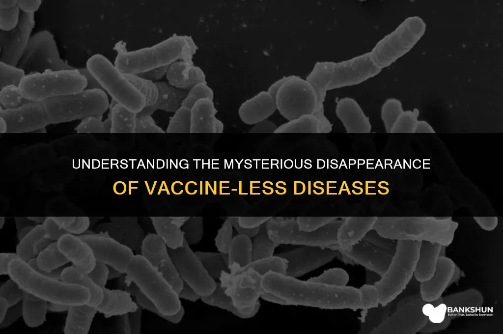 why do diseases with no vaccines disappear