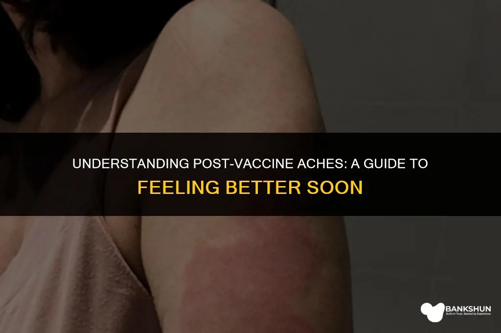 why do i feel achy after vaccine